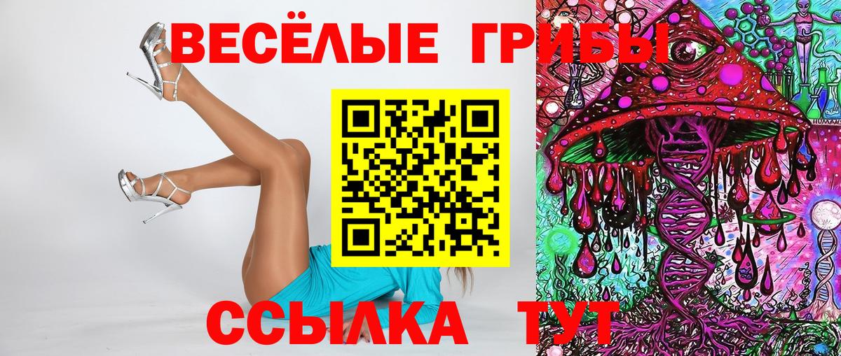 Псилоцибиновые грибы Psilocybe  Псилоцибиновые грибы прущие грибы  закладки  Боровичи  Вход с VPN 