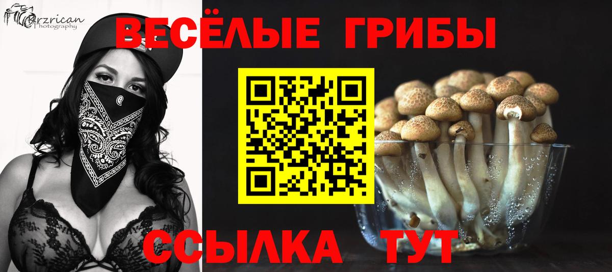 Псилоцибиновые грибы GOLDEN TEACHER Боровичи